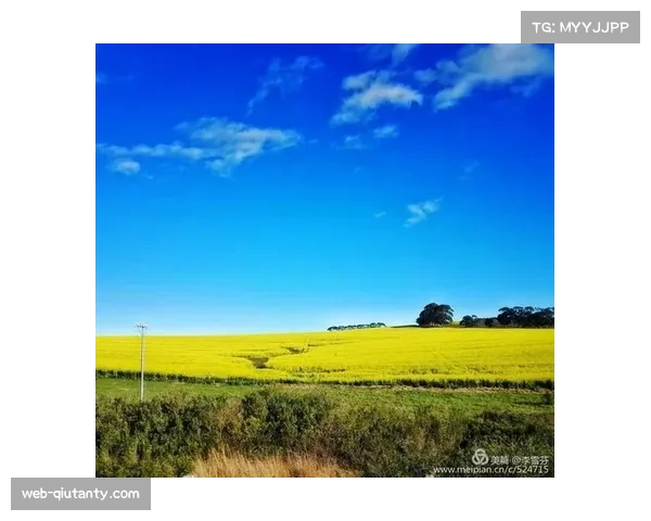 南非 Currie Cup 决赛：西开普省队逆转鲨鱼队夺冠